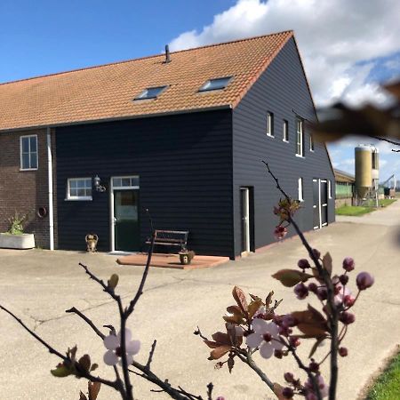 Appartement De Graanzolder Aan Zeeuwse Kust Hoofdplaat ภายนอก รูปภาพ
