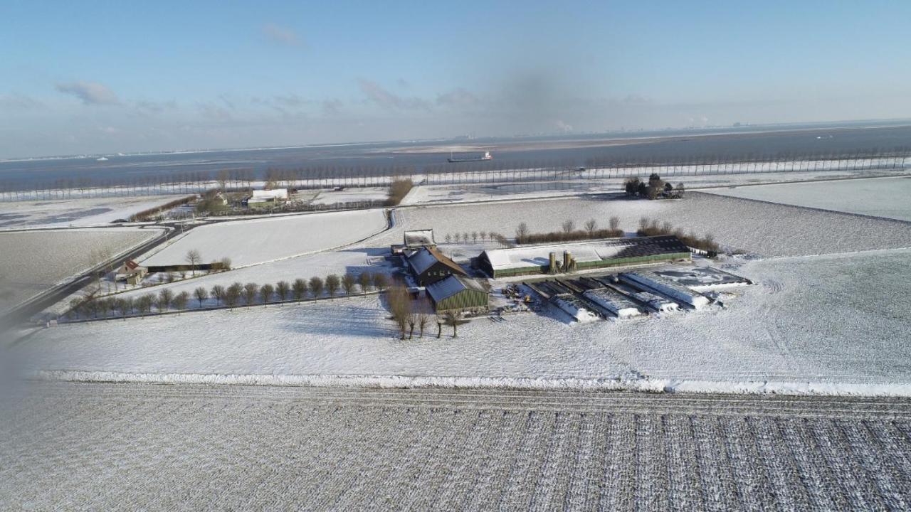 Appartement De Graanzolder Aan Zeeuwse Kust Hoofdplaat ภายนอก รูปภาพ