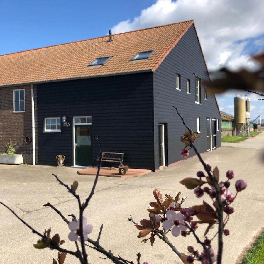 Appartement De Graanzolder Aan Zeeuwse Kust Hoofdplaat ภายนอก รูปภาพ