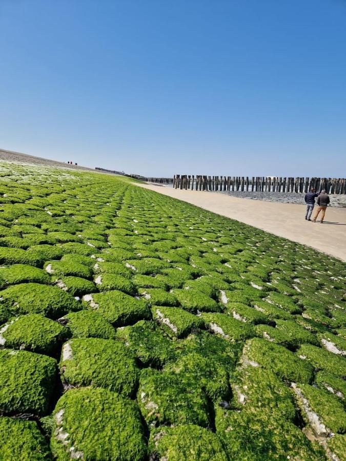 Appartement De Graanzolder Aan Zeeuwse Kust Hoofdplaat ภายนอก รูปภาพ